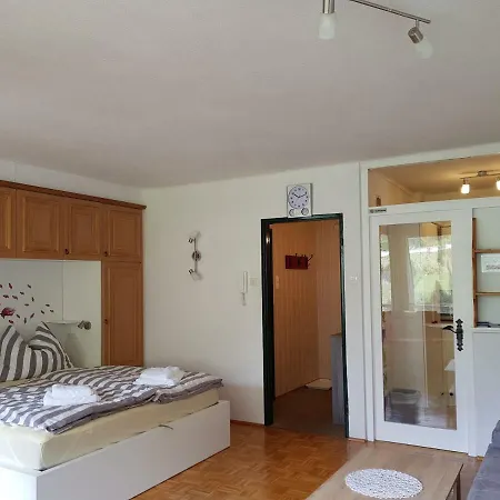 Appartement Haus Alpenkonig Top 18 *